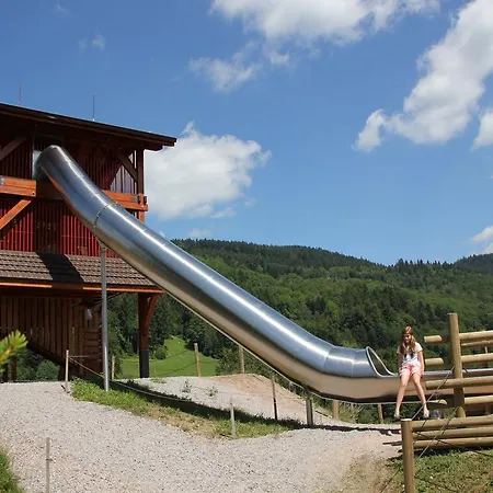 Les Chalets Des Ayes I Le Thillot