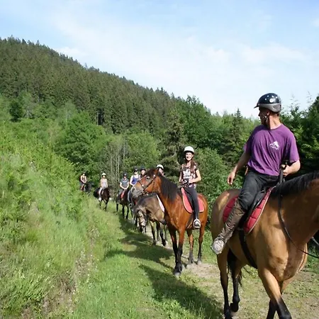 Les Chalets Des Ayes I * Le Thillot